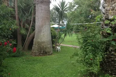 Image de Tenuta Borgo Caere - un'oasi a 30 minuti da Roma