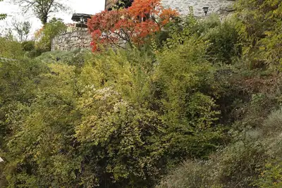 Image de maison avec jardin dans un village de montagne authentique, avec beaucoup de paix, nature et air pur.