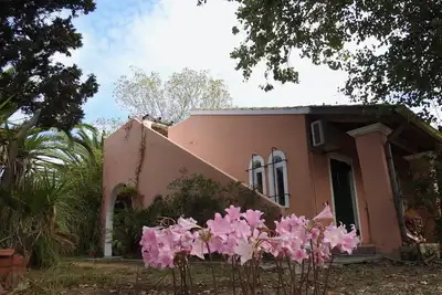 Image de Villa Irene - Appartement 3 chambres (6 personnes) sur la magnifique île de Corfou