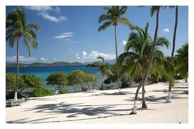 Image de Saphir au bord de la mer - Bleu