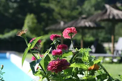 Image de Grand gîte en borduer de rivière, terrasse privé,