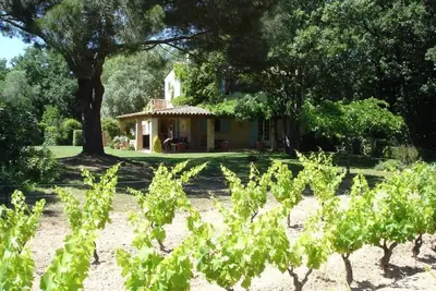 Image de Emplacement parfait, isolé dans les vignes, proche mer et à 10 km de St Tropez