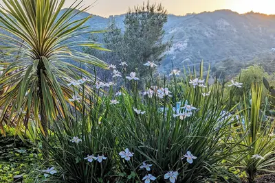 Image de Charmant cottage 2 Br / 2bth Topanga Canyon