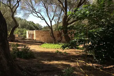 Image de Maison en pierres climatisée à Bonifacio au coeur d'oliviers centenaires