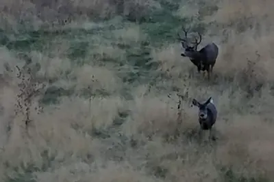 Image de Bateau ponton de 24 pieds \/ situé sur Snake River Brownlee reseviour