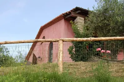 Bere Regis: Valdonica - ferme parmi les oliveraies et les vignes