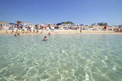 Image de maison dans le Salento, à 3 km de la mer et à 10km de Smdi Leuca allant jusqu'à 14 p. lit
