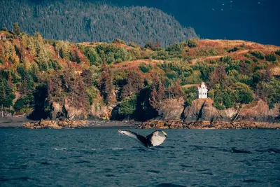 Image de Phare unique au sommet d'une falaise avec une vue imprenable sur la baie de Kachemak