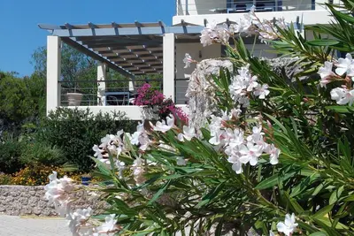 Image de AlphaVilla pour se ressourcer au calme, avec une belle vue sur la mer. Welcome!