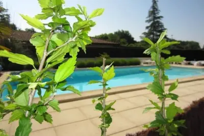 Image de Mazerolles: maison avec piscine dans les Landes près de Mont-de-Marsan