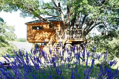 Image de Cabane  Dans Un Arbre  \"7éme ciel\"
