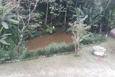Image de Chacara avec piscine, terrain de football, source, endroit calme avec voisins 10