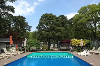 Image de Niché Dans 1-Les Pins Au Coeur De Cape Cod