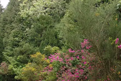 Image de Quinta de Santo António da Serra