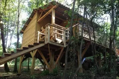 Image de cabane au milieu des arbres