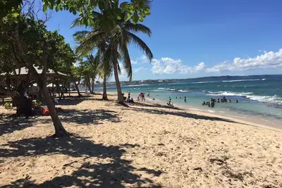 Image de Plage à 100m▪ Vue mer▪ Appartement classé 3*au calme▪ jardin arboré▪1 chambre