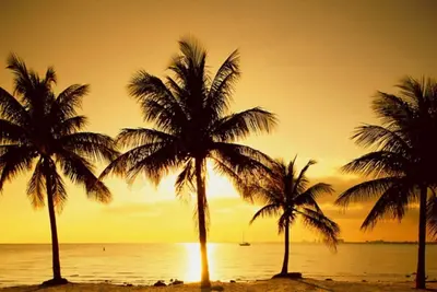 Image de Une chambre proche de la plage -