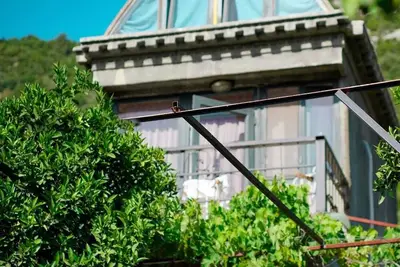 Image de Heredot's House