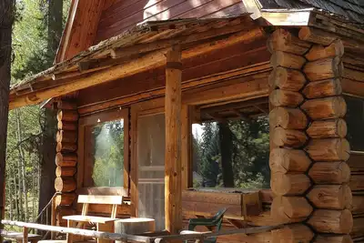 Image de Cabane rustique \"Moose Paddle\" cachée dans les pins.