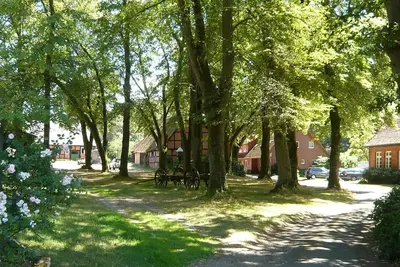 Image de Ferme pittoresque dans la lande de Lunebourg, appartement de vacances, promenades à poney