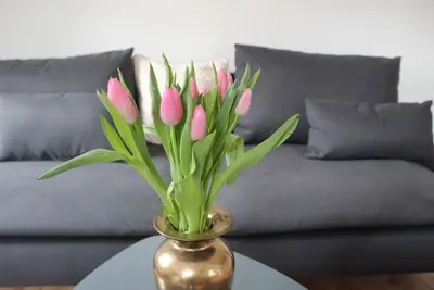 Image de Carrière d'appartement