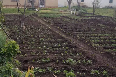 Image de Maison à Bouskoura avec jardin