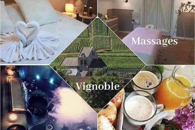 Dans le vignoble à 20 mn de Reims * Spa * Massages