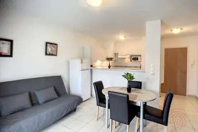 Image de Appartement F2 climatisé avec terrasse, proche centre-ville et thermes, animaux acceptés