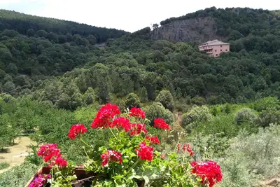 Image de Nouveau grenier! La Ferula, maison super panoramique dans les montagnes-Sardaigne, Seulo
