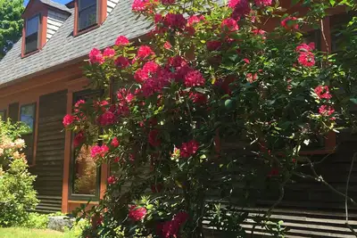 Image de Cape Cod retraite sur une rue résidentielle tranquille!