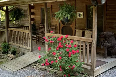 Image de La cabane isolée Creekhouse sur le ruisseau dans les montagnes du nord de l'Alabama