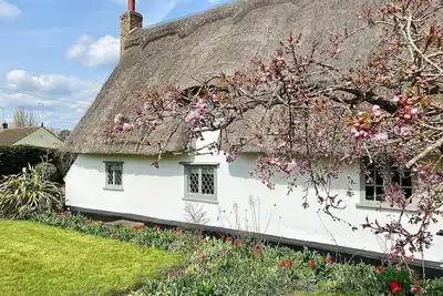 Image de * Cottage de charme * 6 The Green, près de Bury St Edmunds