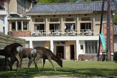 Image de Mountain Home Lodge in Deer Park