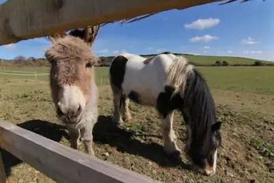 Image de Merlin Farm Cottages Mawgan Porth