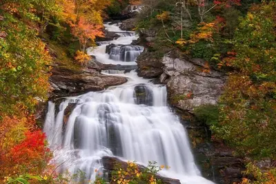 Image de Les feuilles d'automne seront bientôt là! Si belle! Un bon moment de l'année.