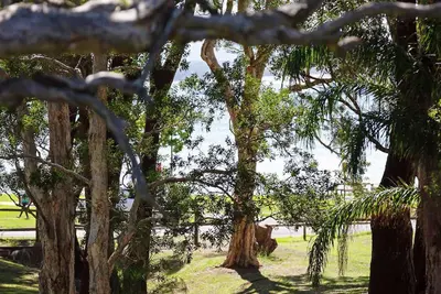 Image de 34 'Bay Parklands', 2 Gowrie Avenue - Wifi, vues, piscine, spa et court de tennis