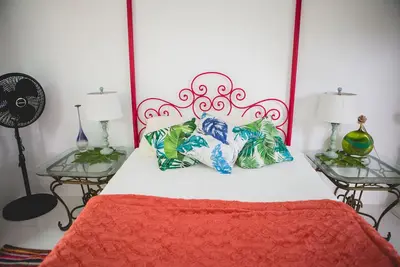 Image de Forêt pluviale d'El Yunque, salle des litchis
