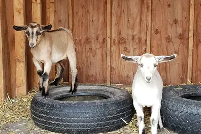 Pays calme dans une ferme, entrée privée, cheminée