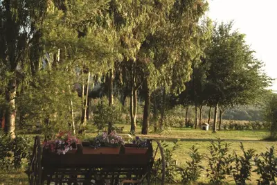 Image de Agriturismo La Petrosa - Casa Leccino Rez-de-chaussée