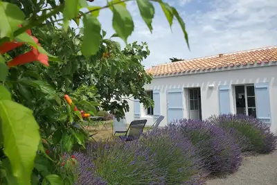 Image de Maison récente 3 chambres île de Noirmoutier -\nMer à 100 m - Classée 2 étoiles