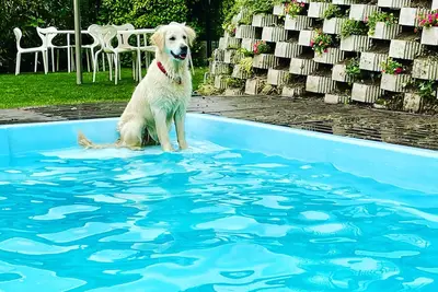 Image de Appartement près du lac, avec parking gratuit et jardin