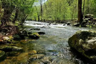 Image de Elk Run sur le ruisseau Cosby