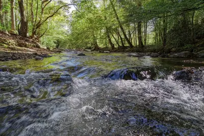 Image de Whispering Creek Cabin