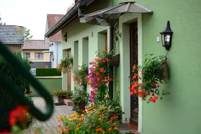 Image de Gîte Guewenheim Haut-Rhin pour 4 personnes