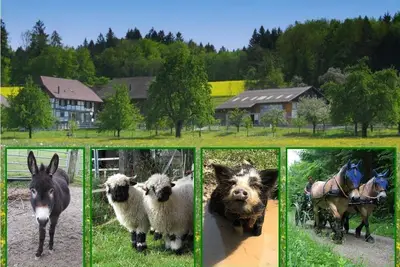 Image de Appartement de vacances Eschenz pour 1 - 7 personnes avec 2 chambres à coucher - Ferme