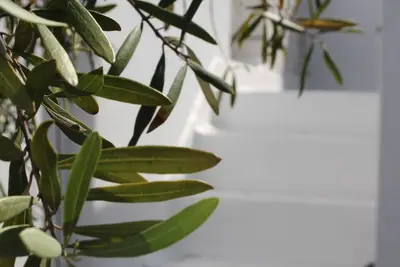 Image de Covent Garden Terrace Apartment - Offre de lancement à prix réduit