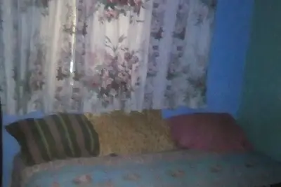 Image de Une belle maison remplie de verdure