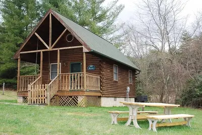 Image de Près de Blue Ridge Parkway, Chalet avec animaux acceptés, vue sur les montagnes et les bassins de montagnes, Gas Frpl