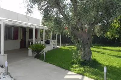Image de maison d'été l'olivier