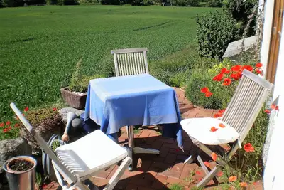 Image de oasis de calme du lac de Constance à la campagne avec des soins de chat
